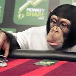 Chimps Can’t Play Poker, But They’re Good At Other Games